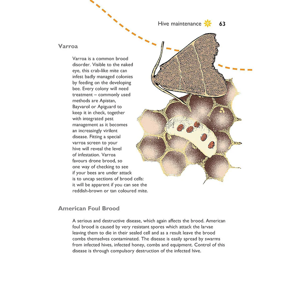 Beekeeping: Self Sufficiency - Image 4