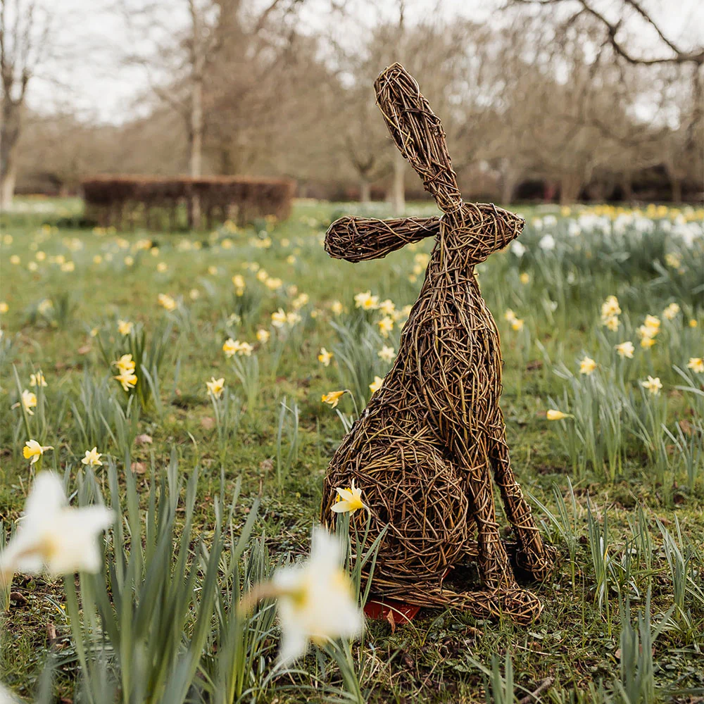 Hare Willow Weaving Workshop 2026 (One-Day)