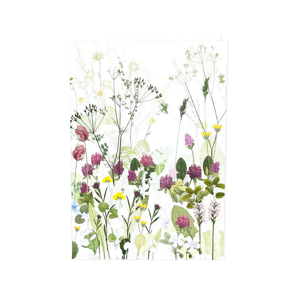 Highgrove Wildflower Meadow Clover and Cow Parsley Greeting Card