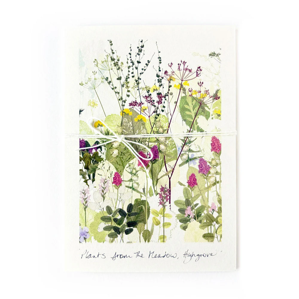 Highgrove Wildflower Meadow Concertina Card - Image 2