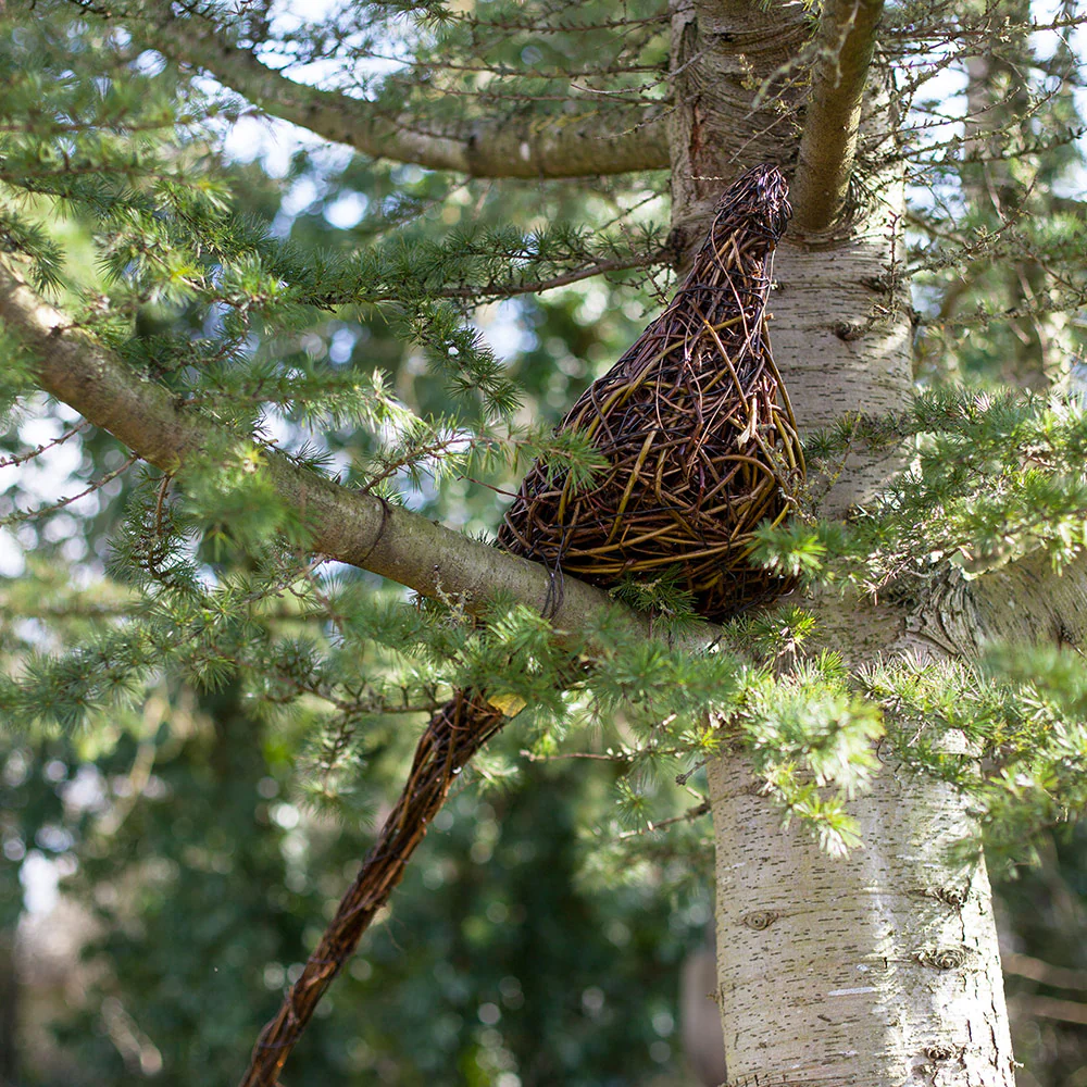 Lookout - Ring-necked “Cock” Pheasant Willow Sculpture - Image 5
