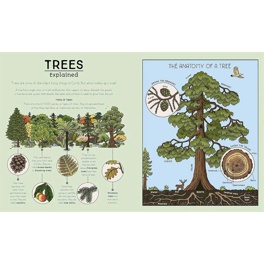 Nature Explained - Image 2