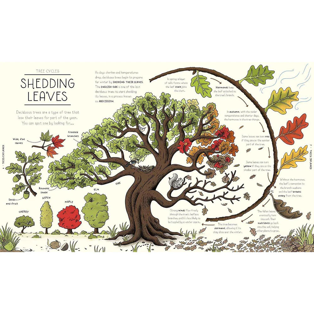 Nature Explained - Image 3