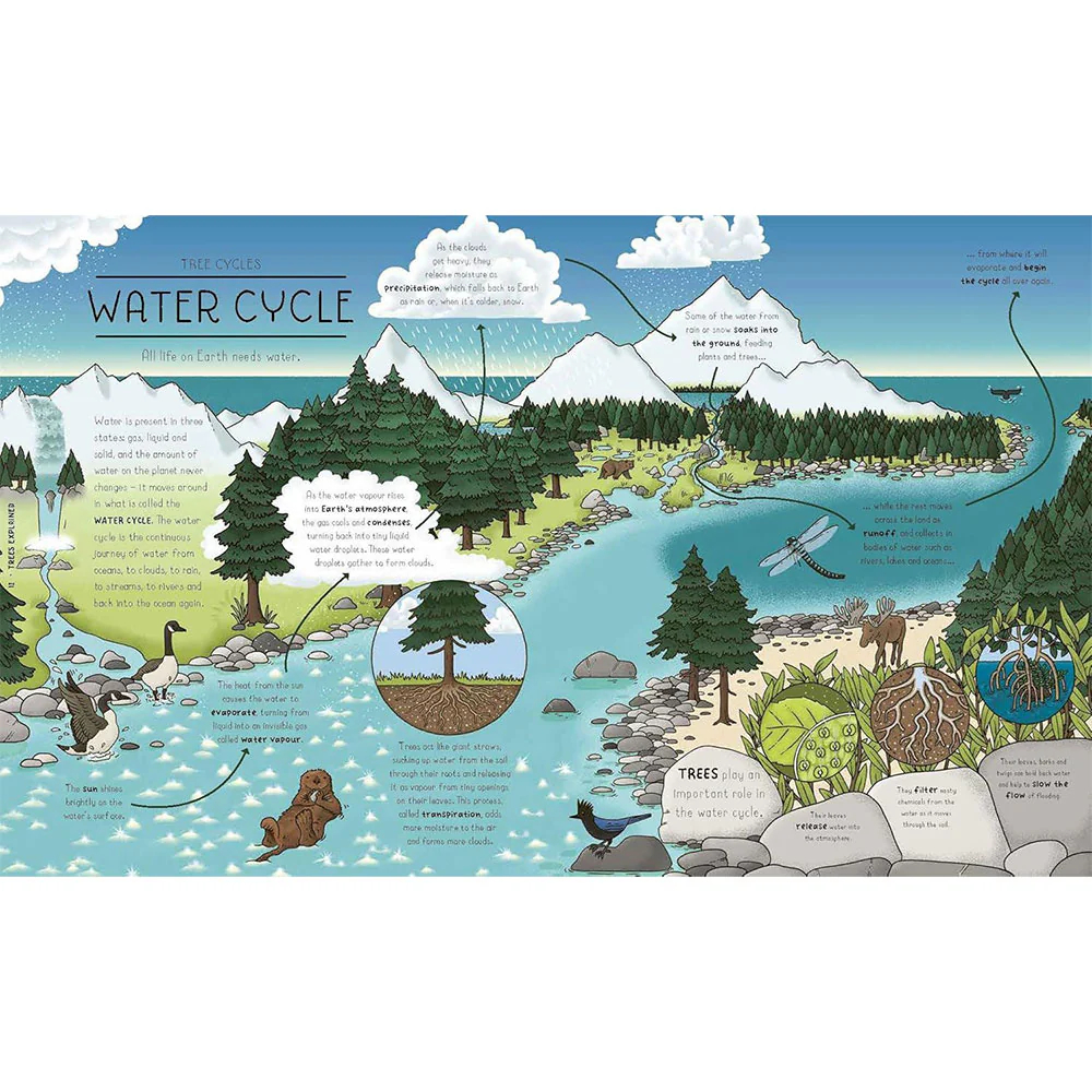 Nature Explained - Image 4