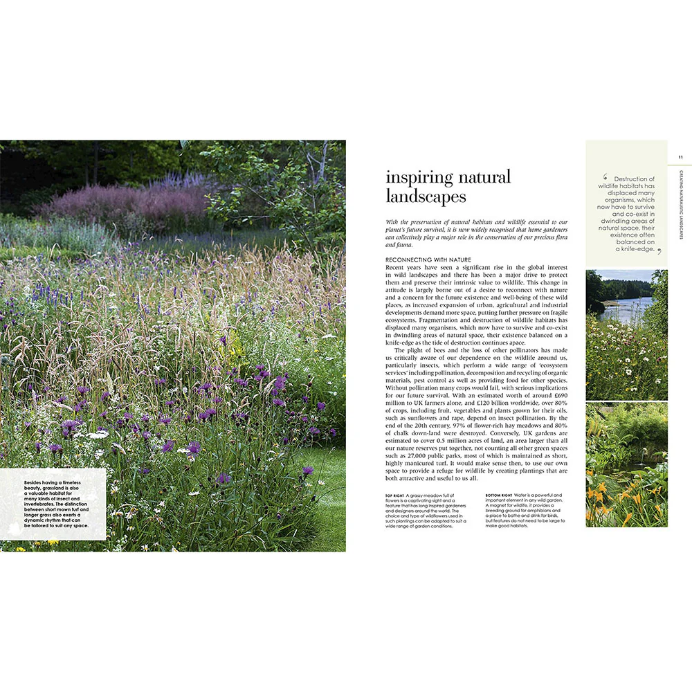 New Wild Garden - Image 2
