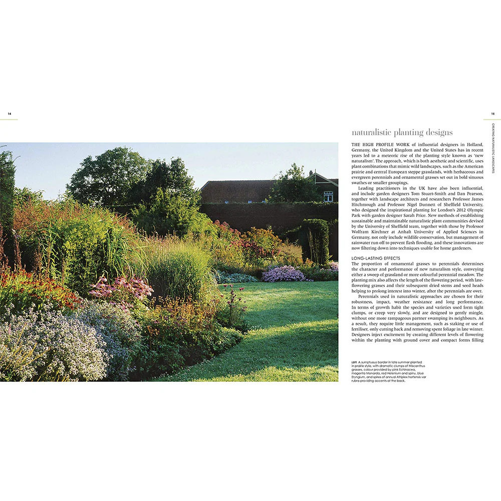 New Wild Garden - Image 3