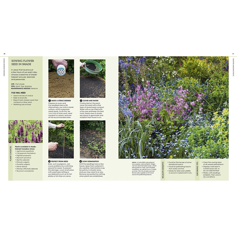 New Wild Garden - Image 4