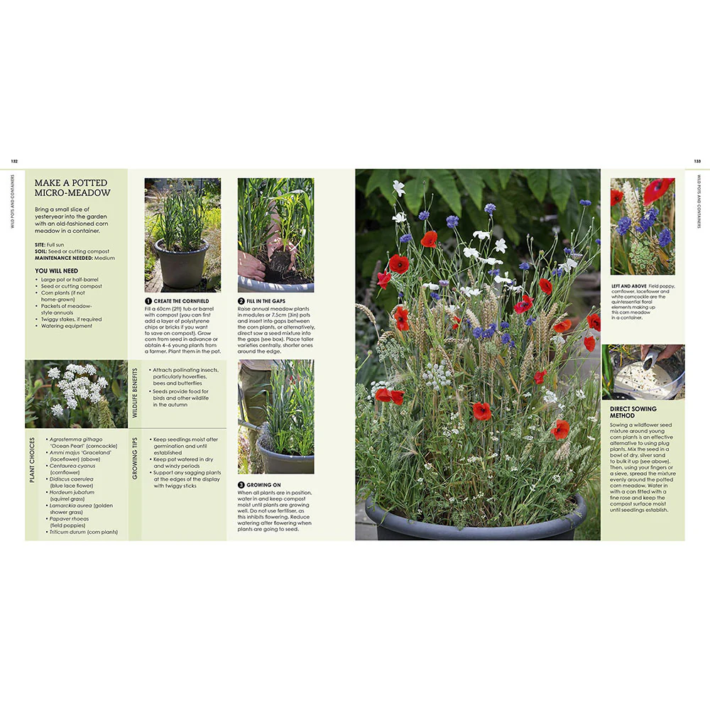 New Wild Garden - Image 5