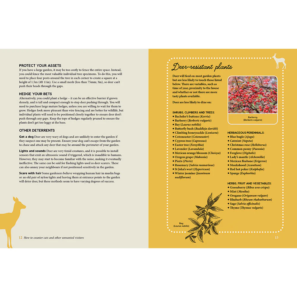 RHS 50 Ways to Outsmart a Squirrel and Other Garden Pests - Image 5
