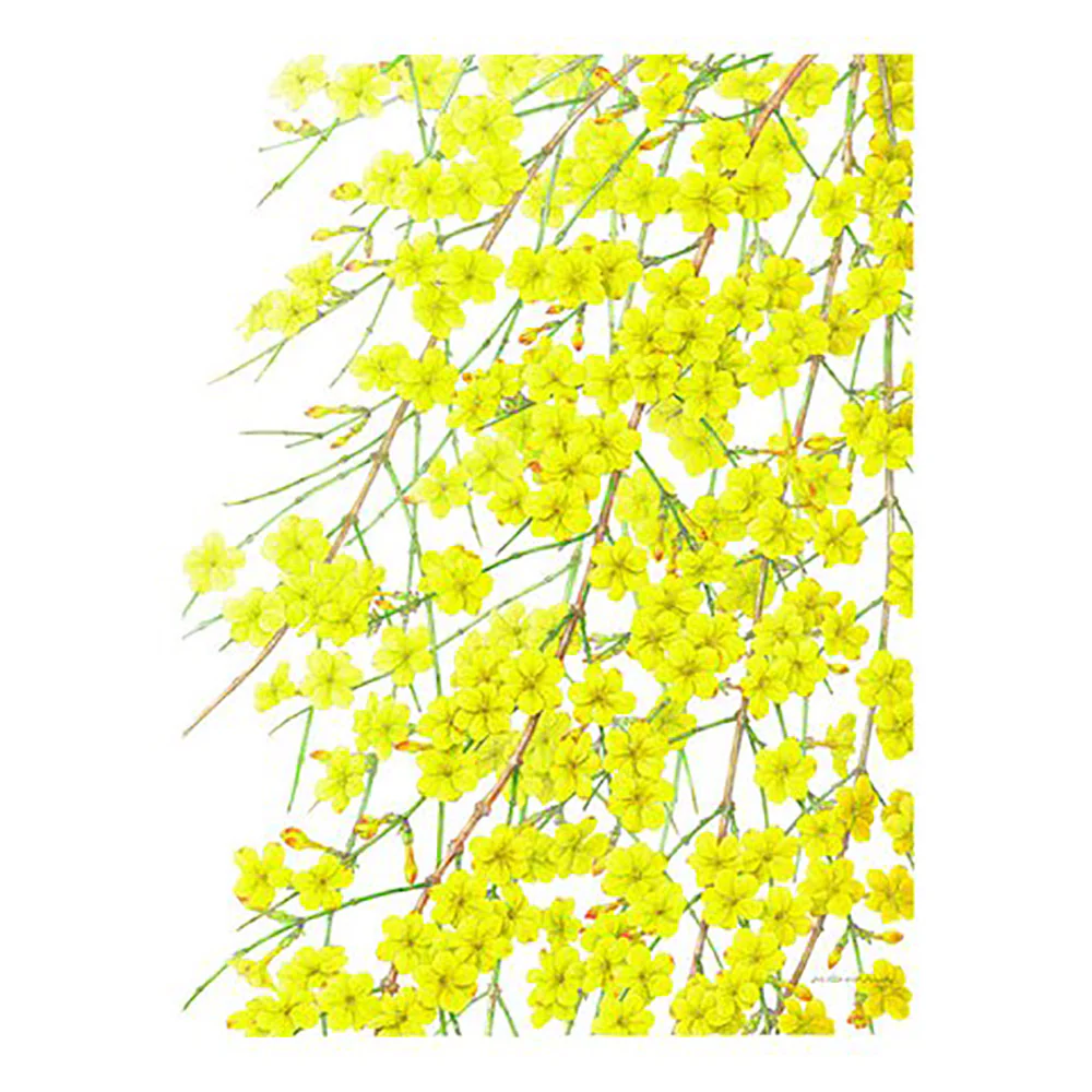 The Highgrove Florilegium - Image 8