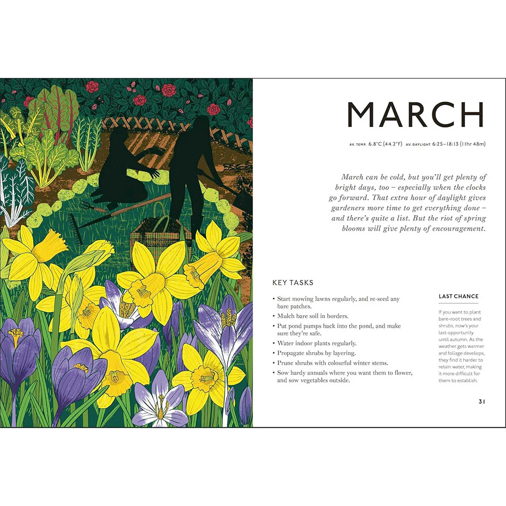Your Gardening Year: What to do when, every month of the year - Image 2