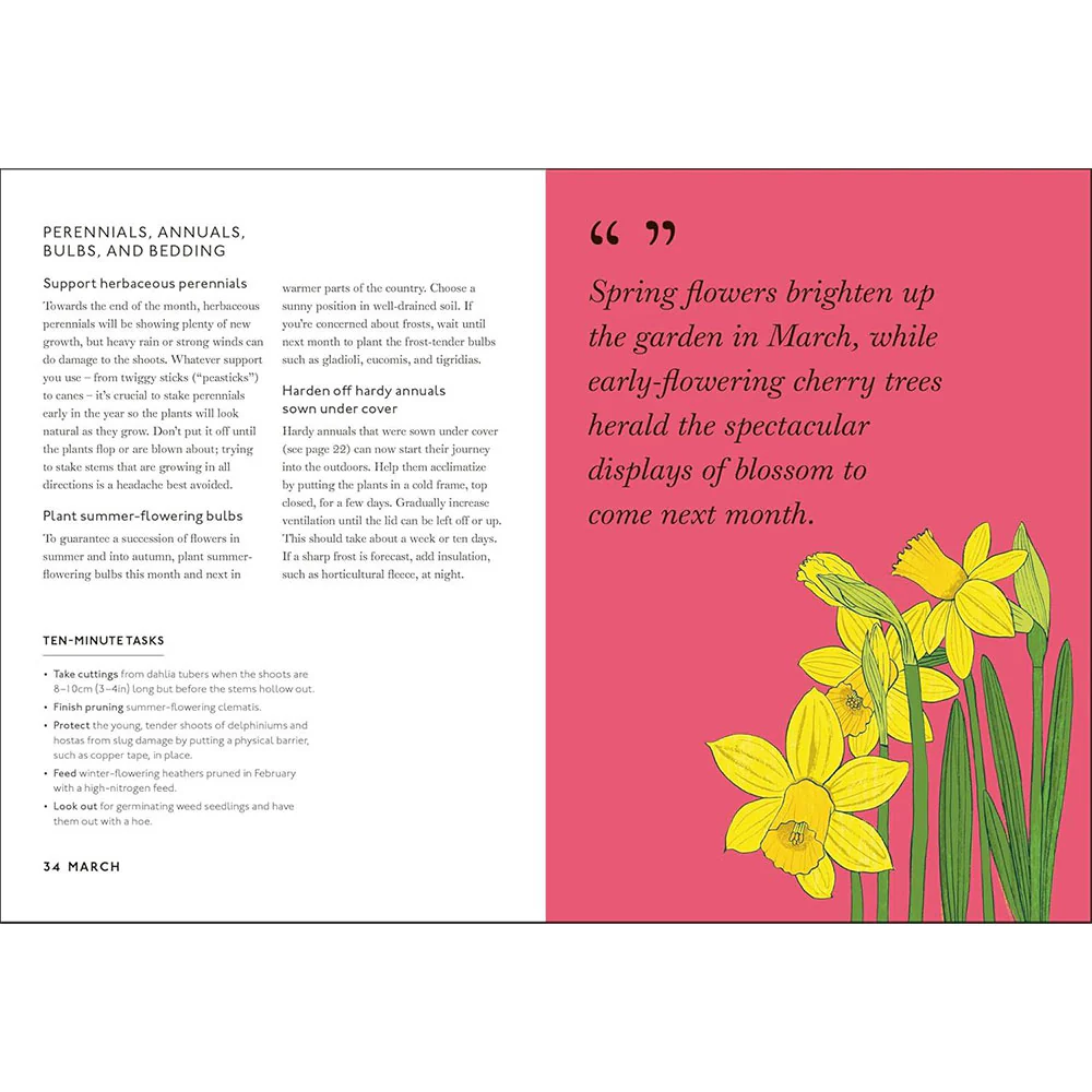Your Gardening Year: What to do when, every month of the year - Image 3
