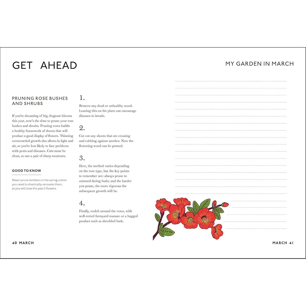 Your Gardening Year: What to do when, every month of the year - Image 4