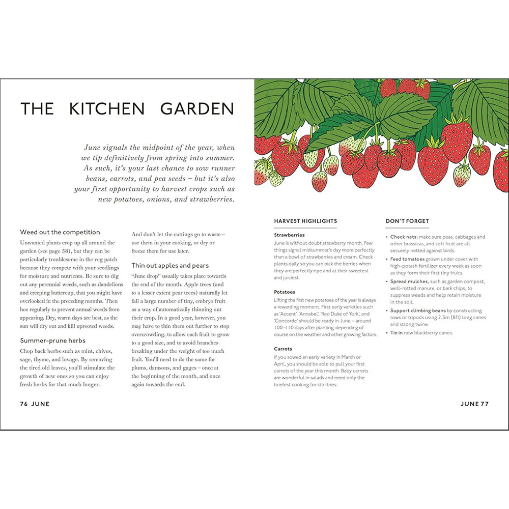 Your Gardening Year: What to do when, every month of the year - Image 5